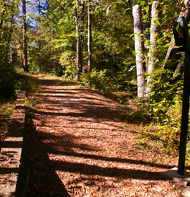 McDaniel Farm Park nature trail