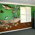 Museum at Mistletoe State Park