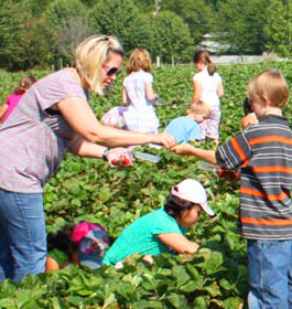 You Pick at Moon Farm