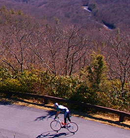 Georgia Mountain Biker