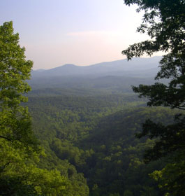 Georgia mountain top view