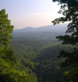 Mountain View from top