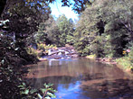 Peaceful Georgia River