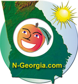 N-Georgia.com Logo