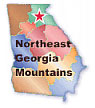 Northeast Georgia Fairs, Festivals and Events