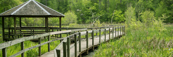 Newman Wetland Center