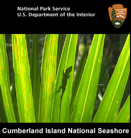 NPS Cumberland Island National Seashore