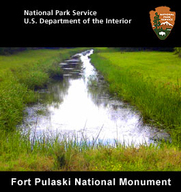 Ft Pulaski Ecosystem at Tybee Island GA