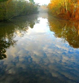 Scenie Ogeechee River
