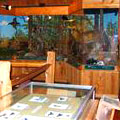 Museum at Panola Mountain State Park