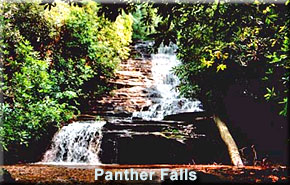 Panther Falls