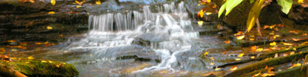 Waterfalls in Georgia