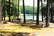 Payne Campground at Allatoona Lake