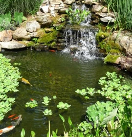 Piedmont Garden