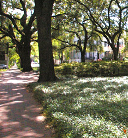 Pulaski Square in Savannah GA