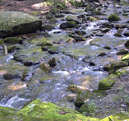 Rocky GA river