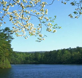Lake at F. D. Roosevelt State Park