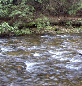 Creek in GA