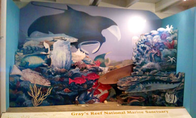 Sapelo Island Visitor Center display