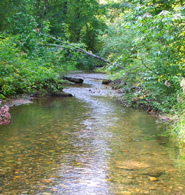 Creek at Sarah's Creek Campground