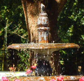 Fountain at Georiga Coastal Botanical Garden