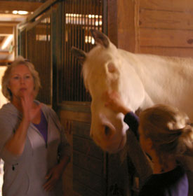 Blind horse at Save The Horses