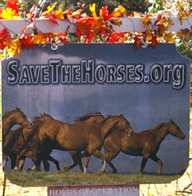 Save The Horses Rescue sign