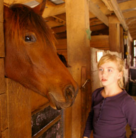 Save The Horses horse with girl