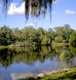 Seminole Lake