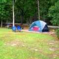 Camping at Skidaway Island State Park