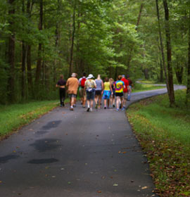 Paved trail at Smithgall Woods
