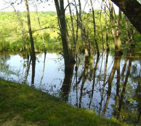 Spring Creek Wetlands Preserve