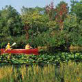 Canoeing at Stephen C Foster State Park