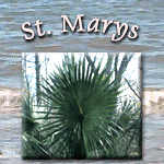 Welcome to St. Marys and Cumberland Island in Georgia!
