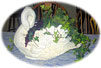 Swan 