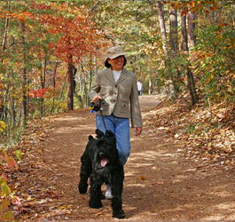 Walking dog at Tallulah Gorge State Park
