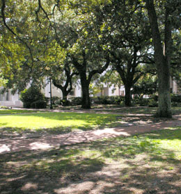Telfair Square in Savannah Georgia