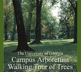 UGA Arboretum Walking Tour of Trees