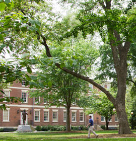 UGA campus, statue and trees