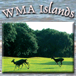 Welcome to the Wildlife Management Islands of Georgia!