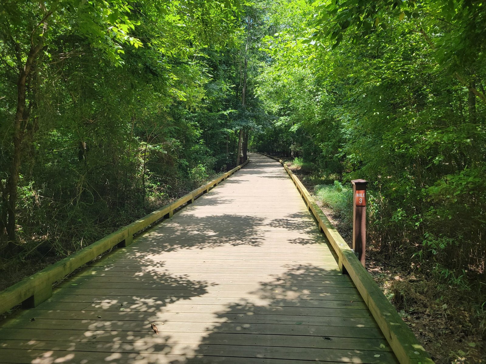 The Big Creek Greenway boardwalk through the woods in Alpharetta, Georgia