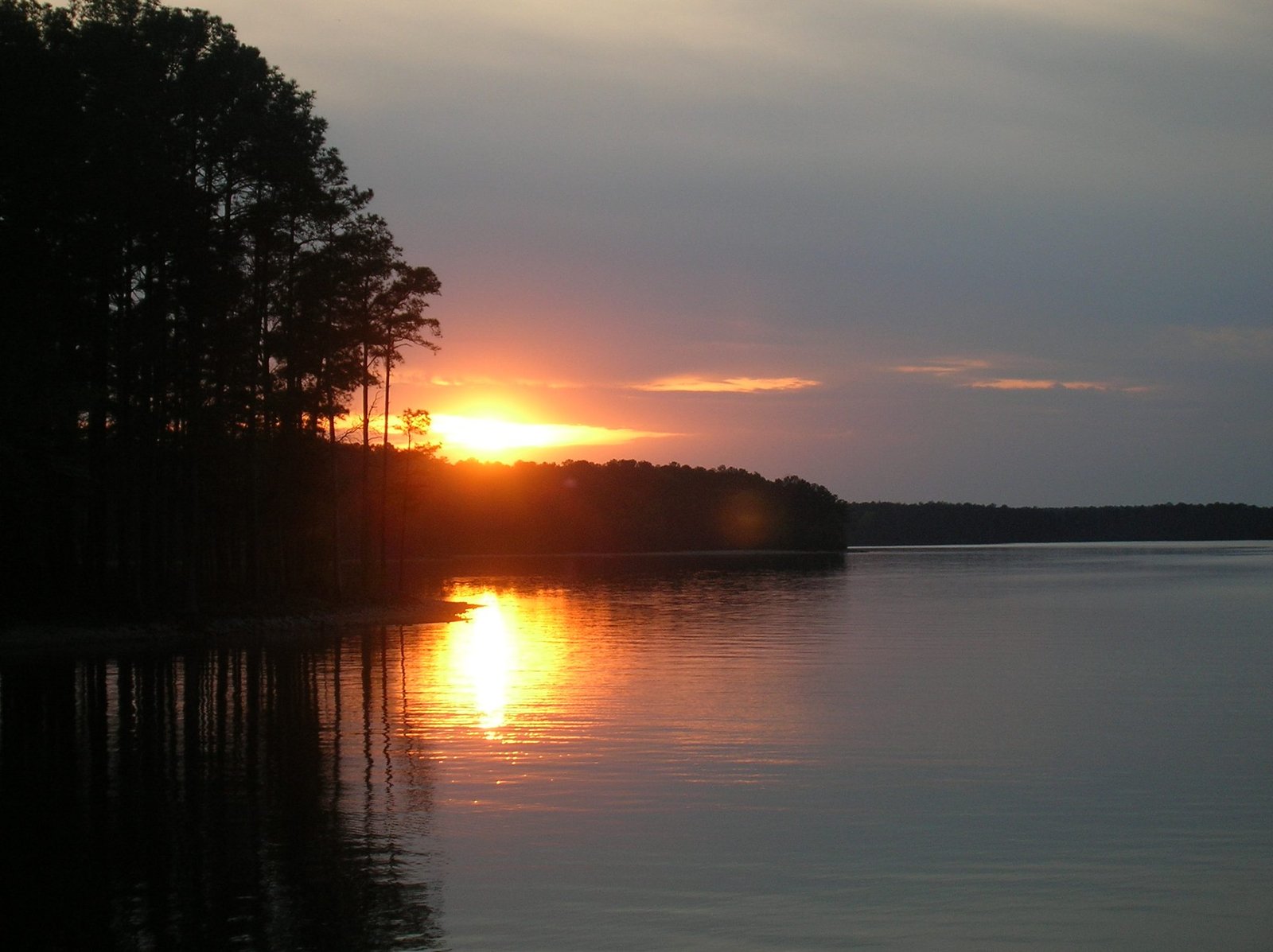 Sunset over Clarks Hill Lake, with pines silhouetted along the shore