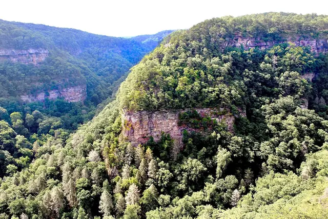 Canyon view at Cloudland Canyon State Park