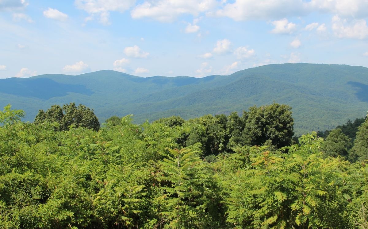 Mountain view from the Cohutta Overlook in Murray County, the high end of the Cohutta-Chattahoochee Scenic Byway