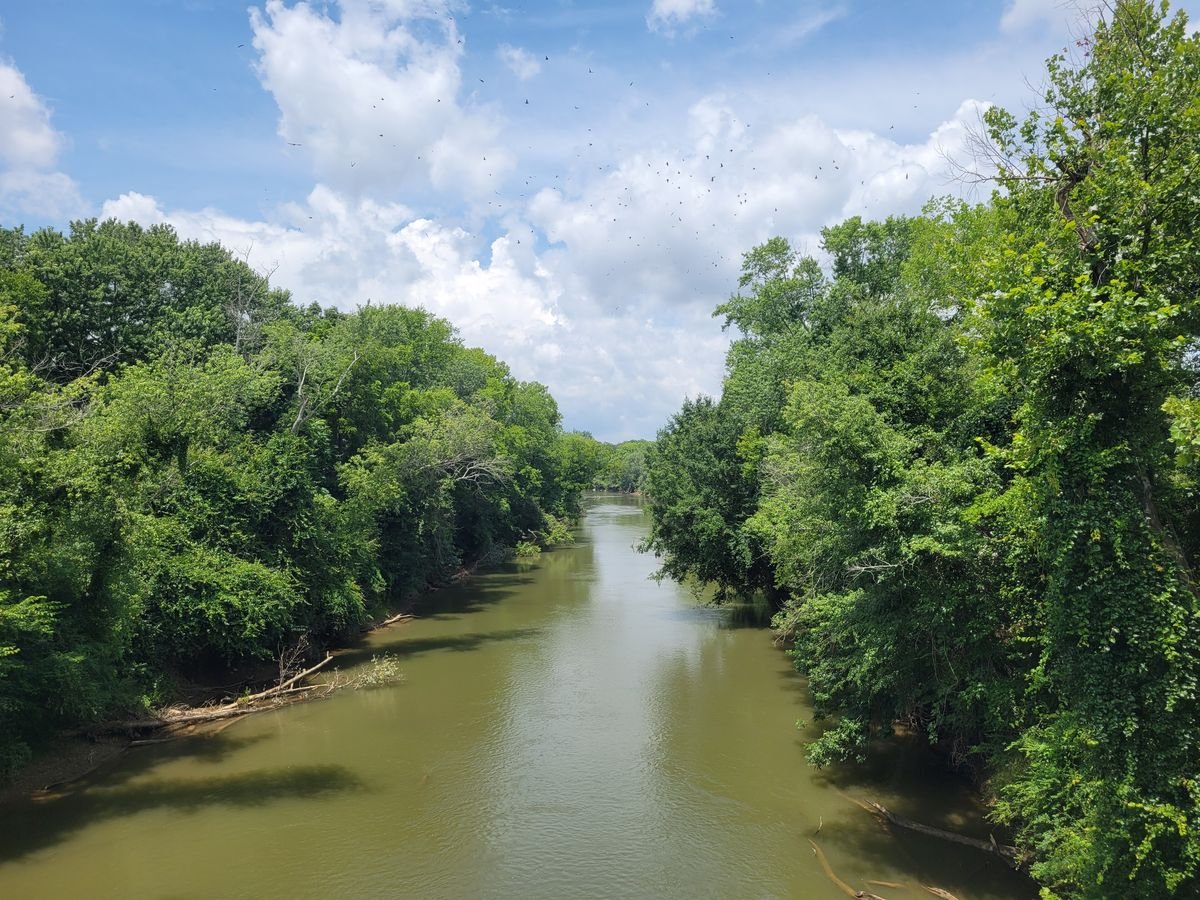 The Coosawattee River flowing between green, tree-lined banks near Decora, Georgia