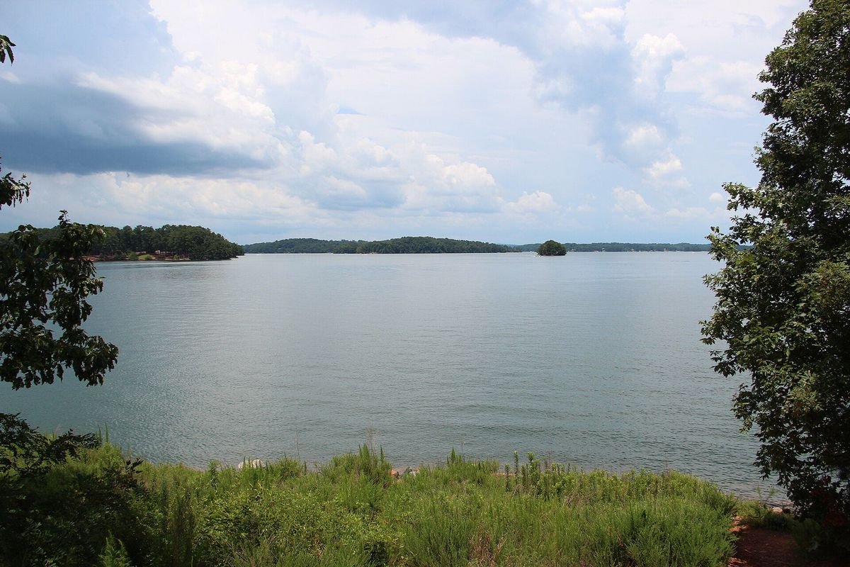 Wide view of Lake Lanier from a wooded shoreline near Don Carter State Park