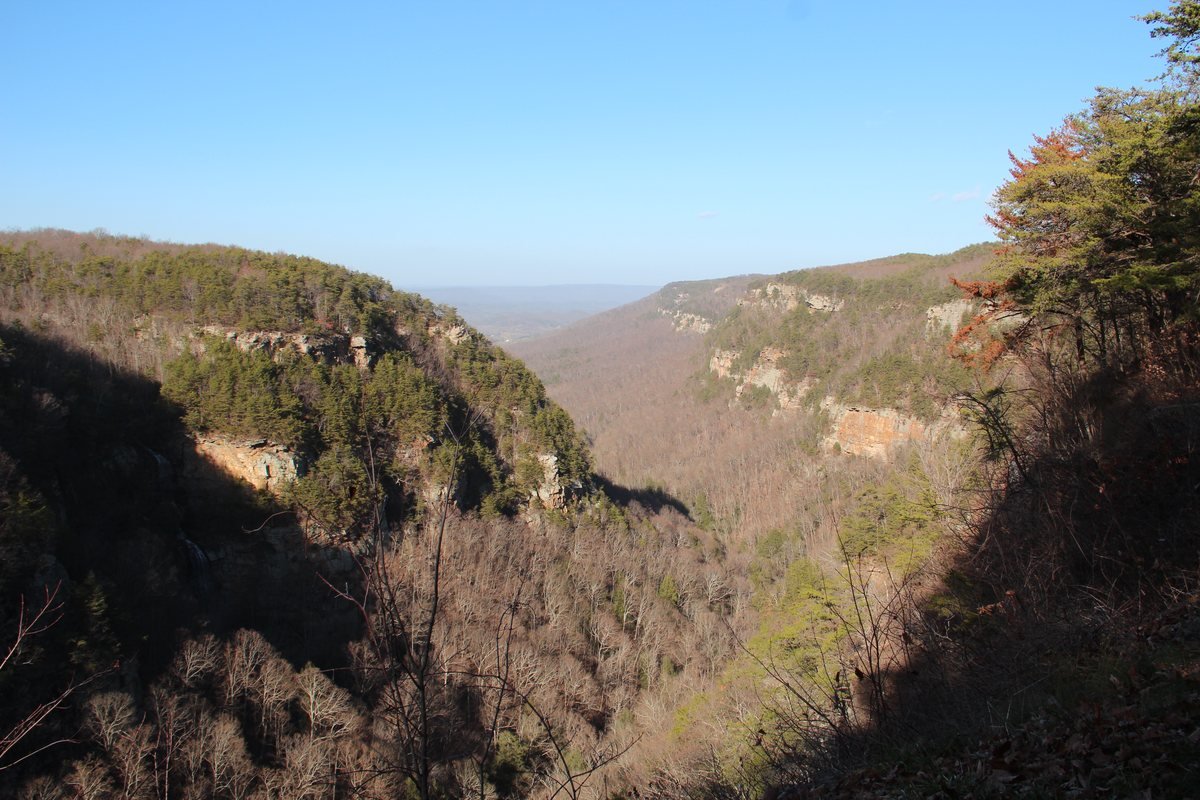 Looking down into Cloudland Canyon in winter, with bare trees and sandstone cliffs under a blue sky