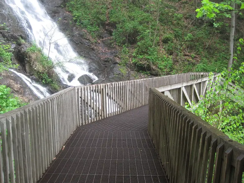 Observation bridge spanning Amicalola Falls