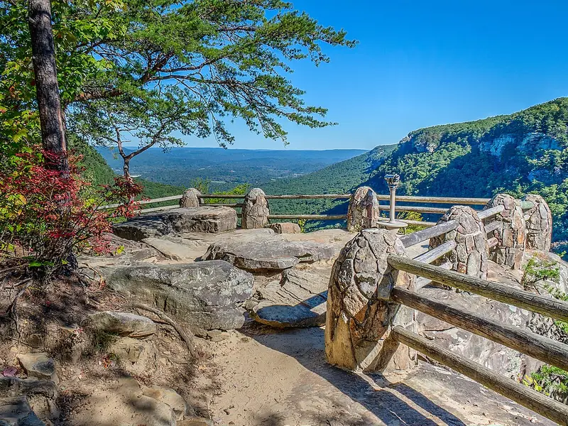Rim overlook above the forested gorge at Cloudland Canyon State Park