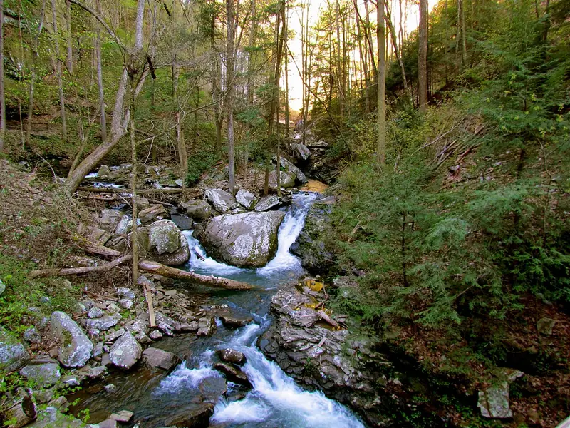 Creek cascading over boulders in Cloudland Canyon